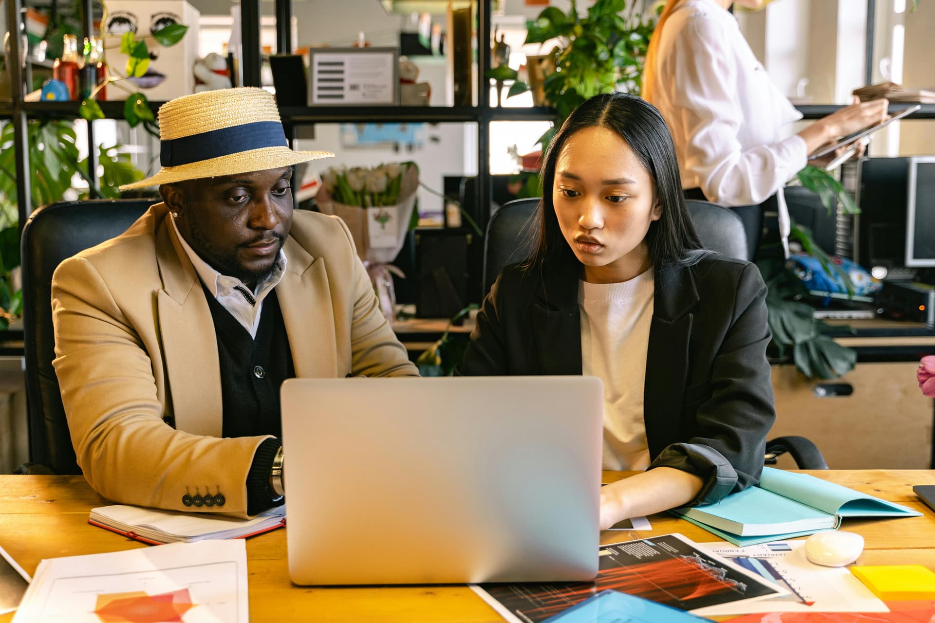 Office 2024 Mac Version kaufen online
