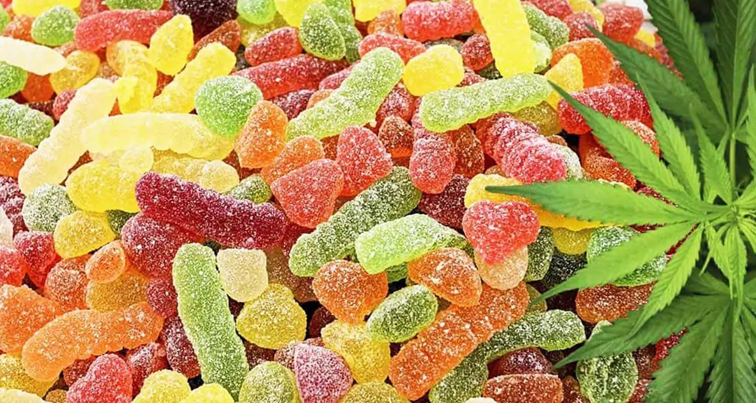 Warum Canabis Gummibärchen mehr als nur ein Snack sind