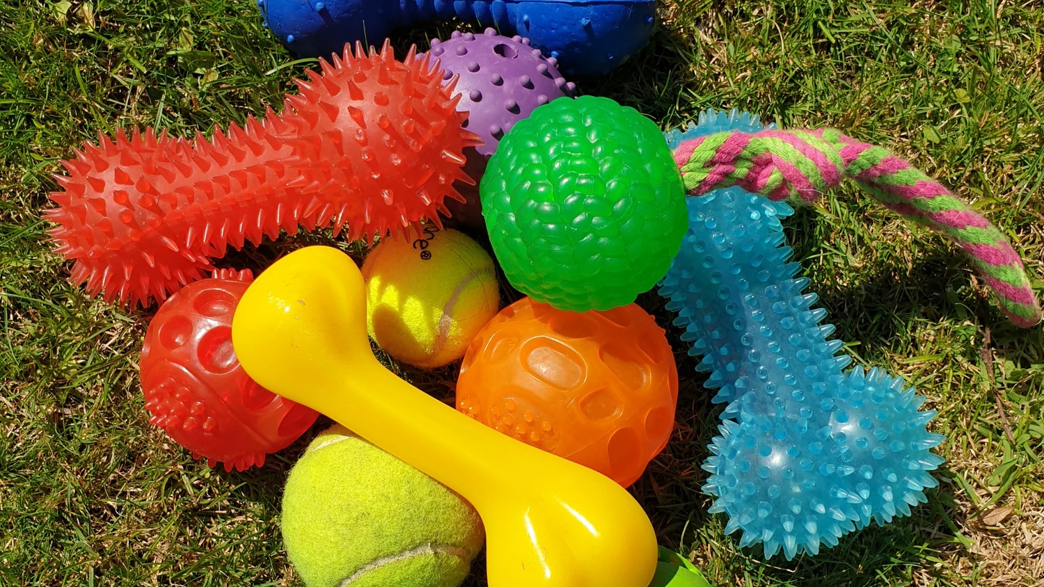 Mit Erfahrung und Vergleich Richtig guetes Spielzeueg finden im Onlinehandel